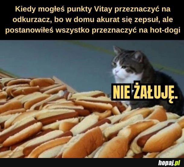 
    Nie żałuję. 