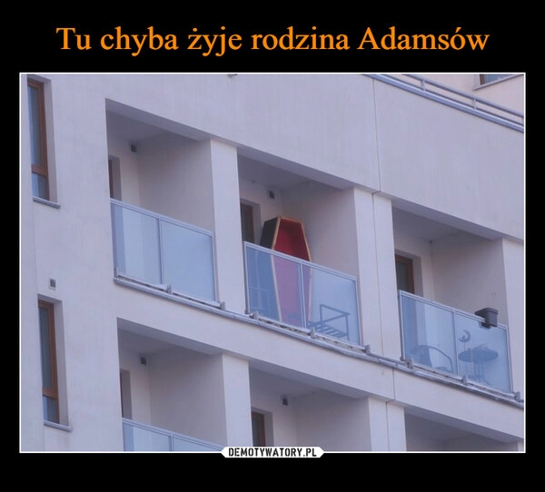 
    Tu chyba żyje rodzina Adamsów 