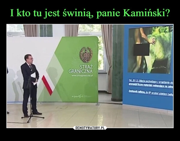 
    I kto tu jest świnią, panie Kamiński?