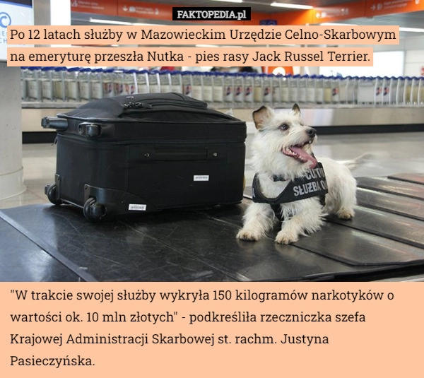 
    Po 12 latach służby w Mazowieckim Urzędzie Celno-Skarbowym na emeryturę