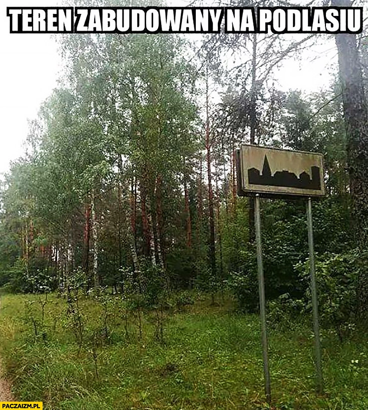 
    Teren zabudowany na Podlasiu las podlaskie