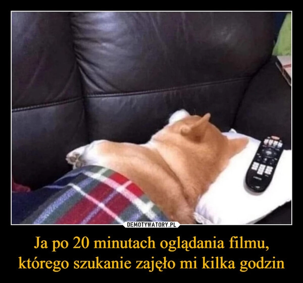 
    Ja po 20 minutach oglądania filmu, którego szukanie zajęło mi kilka godzin