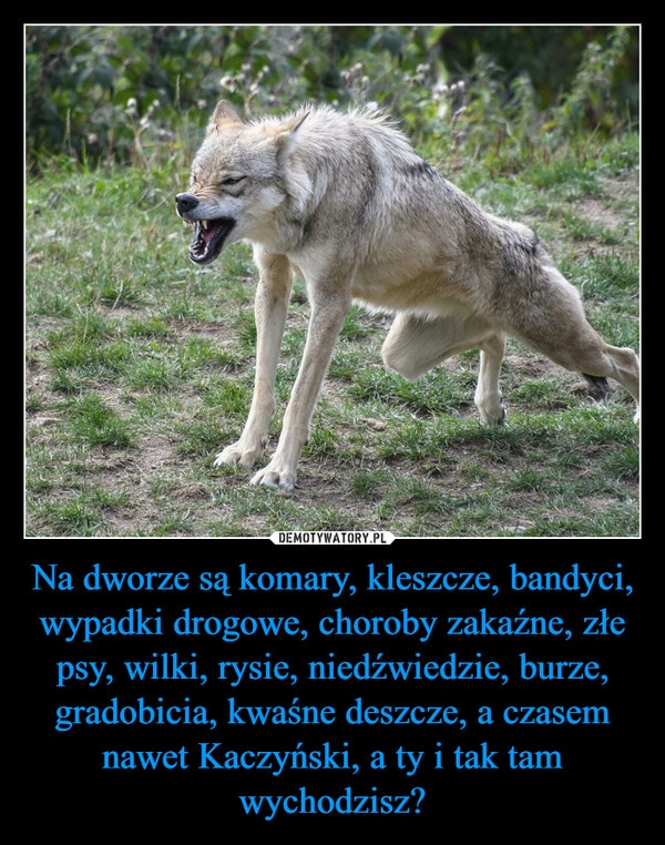 
    Na dworze są komary, kleszcze, bandyci, wypadki drogowe, choroby zakaźne, złe psy, wilki, rysie, niedźwiedzie, burze, gradobicia, kwaśne deszcze, a czasem nawet Kaczyński, a ty i tak tam wychodzisz?