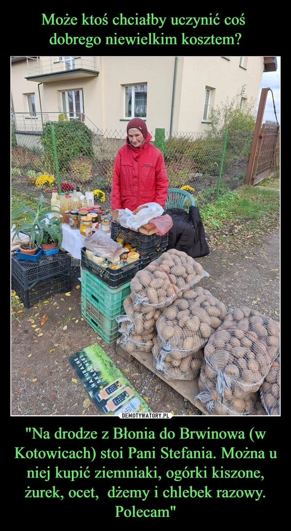 
    Może ktoś chciałby uczynić coś 
dobrego niewielkim kosztem? "Na drodze z Błonia do Brwinowa (w Kotowicach) stoi Pani Stefania. Można u niej kupić ziemniaki, ogórki kiszone, żurek, ocet,  dżemy i chlebek razowy. Polecam"