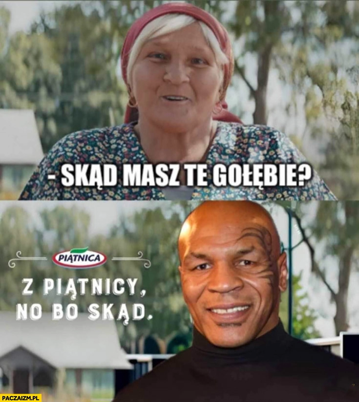 
    Skąd masz te gołębie Mike Tyson z Piątnicy no bo skąd?