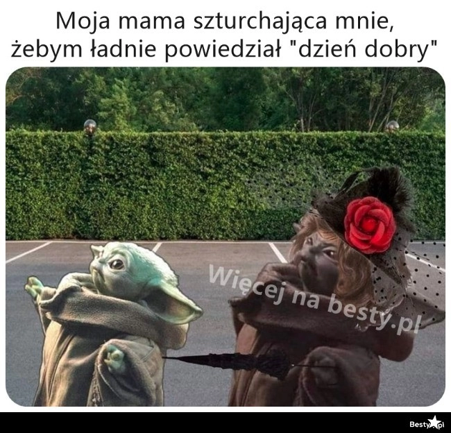 
    No przywitaj się 