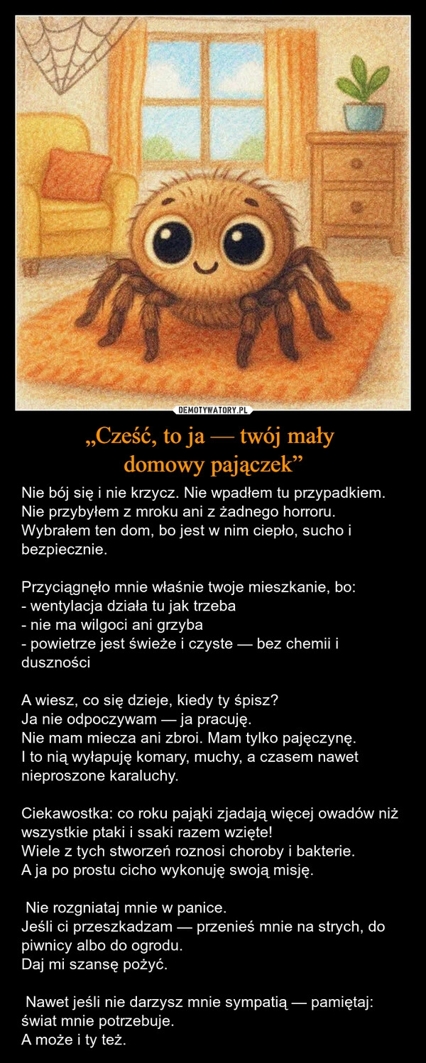 
    „Cześć, to ja — twój mały 
domowy pajączek”