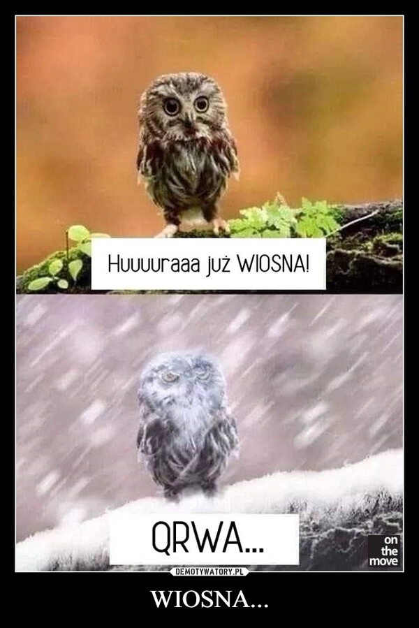 
    WIOSNA...