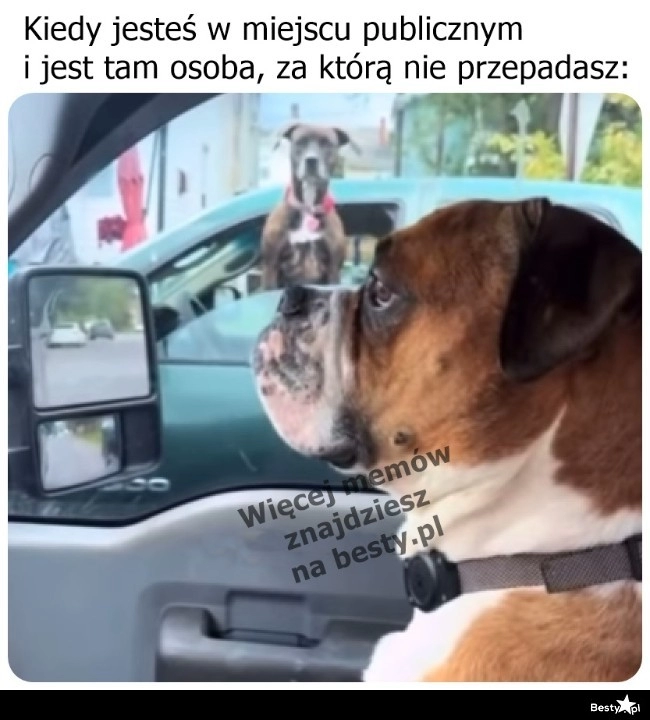 
    Nic nie widzę 