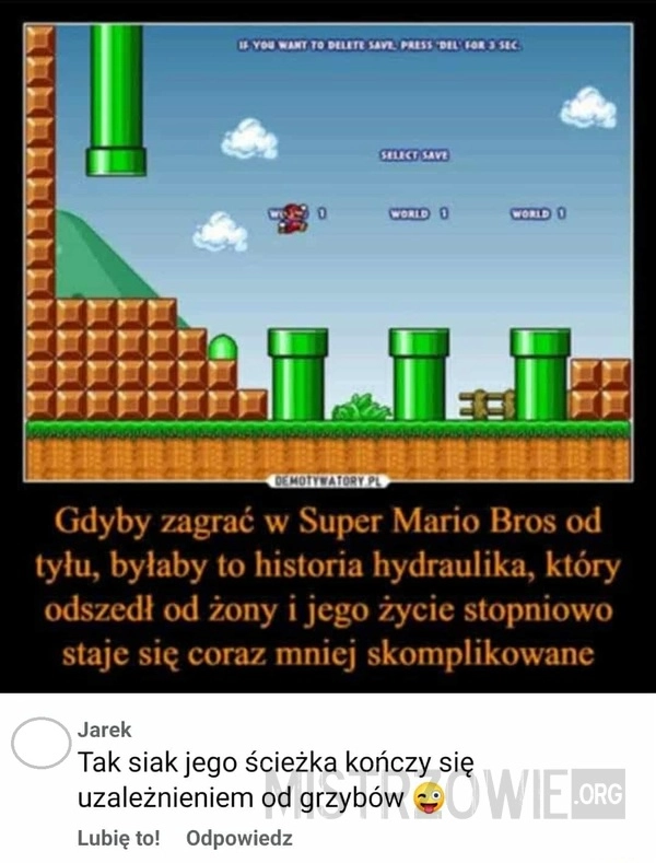 
    Mario Bros