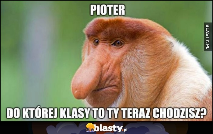 
    Pioter do której klasy to Ty teraz chodzisz? Ojciec nosacz małpa