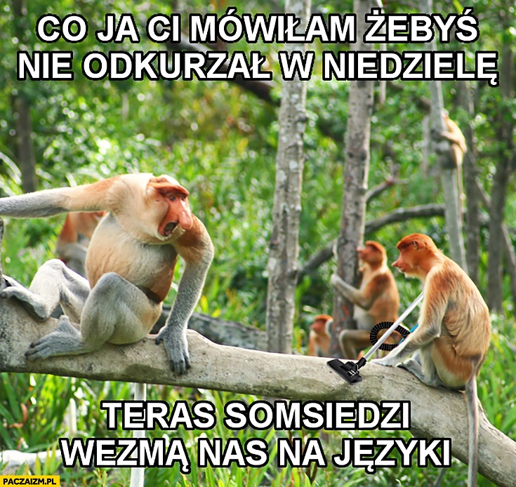 
    Co ja Ci mówiłam żebyś nie odkurzał w niedzielę? Teraz sąsiedzi wezmą nas na języki