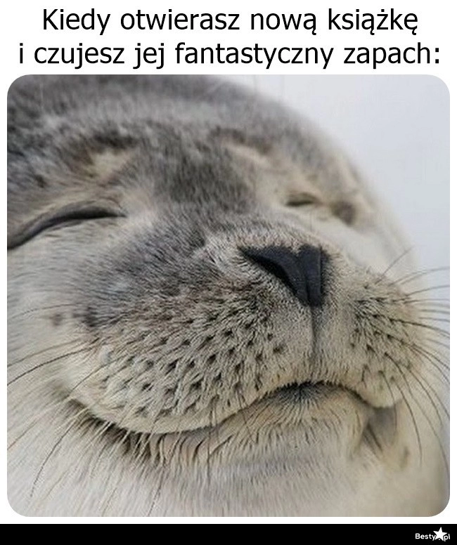 
    Zapach nowej książki 