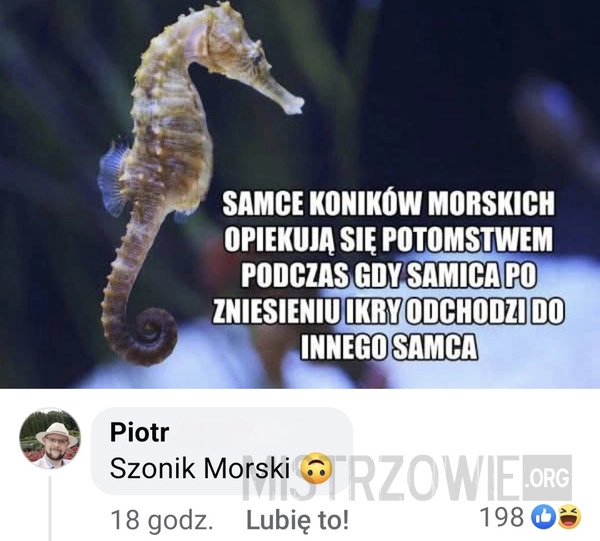 
    Samo życie