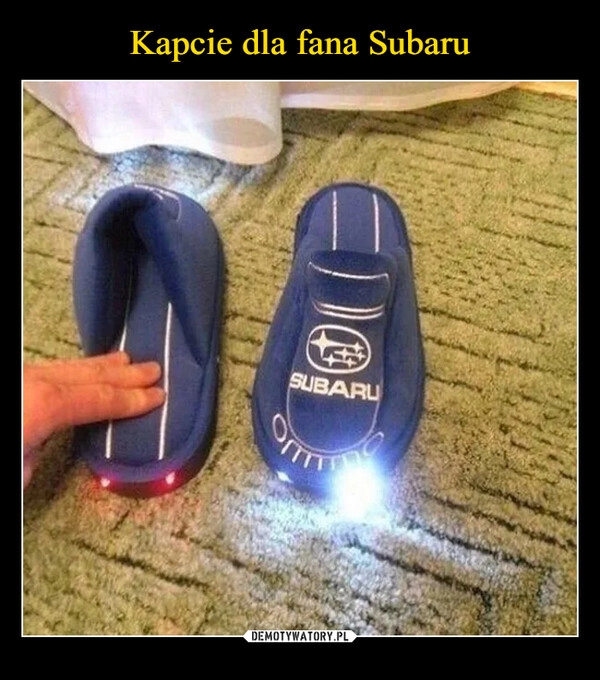 
    Kapcie dla fana Subaru