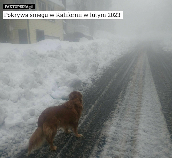 
    Pokrywa śniegu w Kalifornii w lutym 2023.