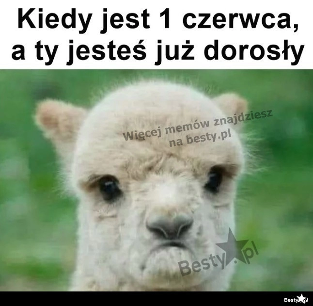 
    Nie będzie prezentu 