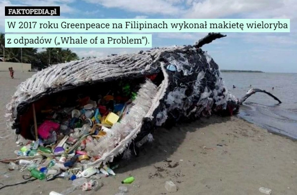 
    W 2017 roku Greenpeace na Filipinach wykonał makietę wieloryba z odpadów