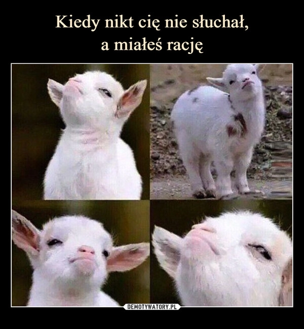 
    Kiedy nikt cię nie słuchał,
a miałeś rację