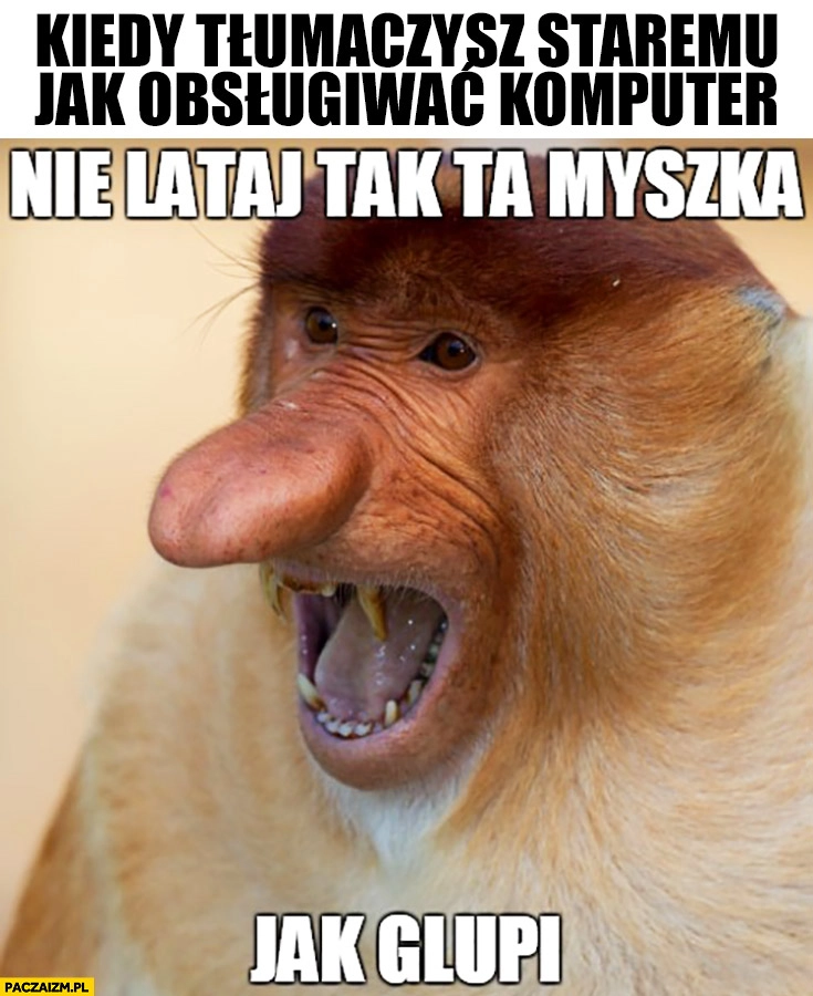 
    Kiedy tłumaczysz staremu jak obsługiwać komputer: nie lataj tak ta myszka jak głupi typowy Polak nosacz