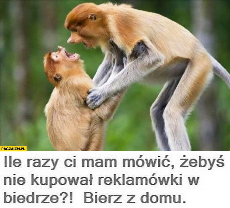 
    Ile razy mam Ci mówić żebyś nie kupował reklamówki w Biedrze, bierz z domu. Typowy Polak nosacz