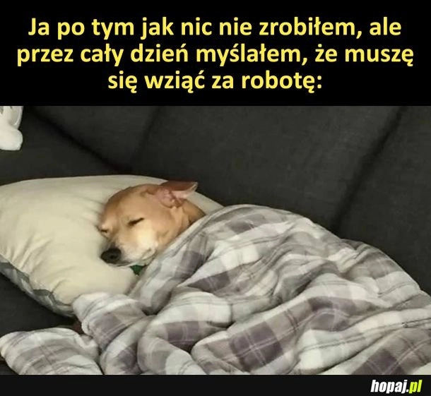 
    Kiedy pokonało mnie nicnierobiene