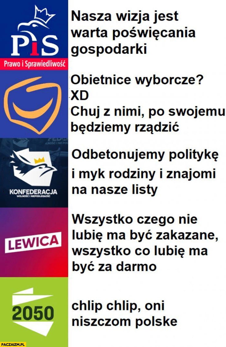 
    Partie polityczne w Polsce i ich prawdziwy program zestawienie porównanie