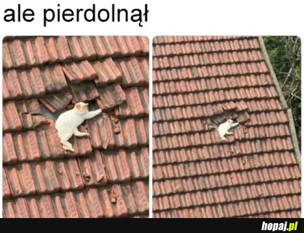 
    Z nieba spadł