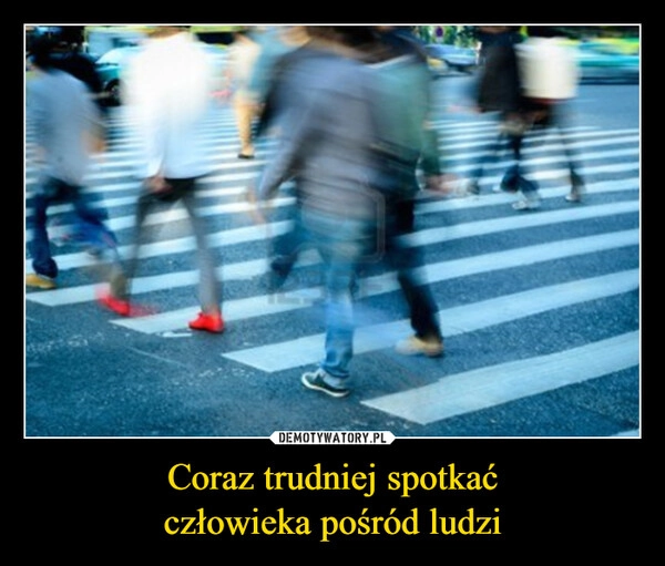 
    Coraz trudniej spotkać
człowieka pośród ludzi