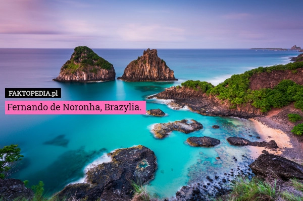 
    Fernando de Noronha, Brazylia. 