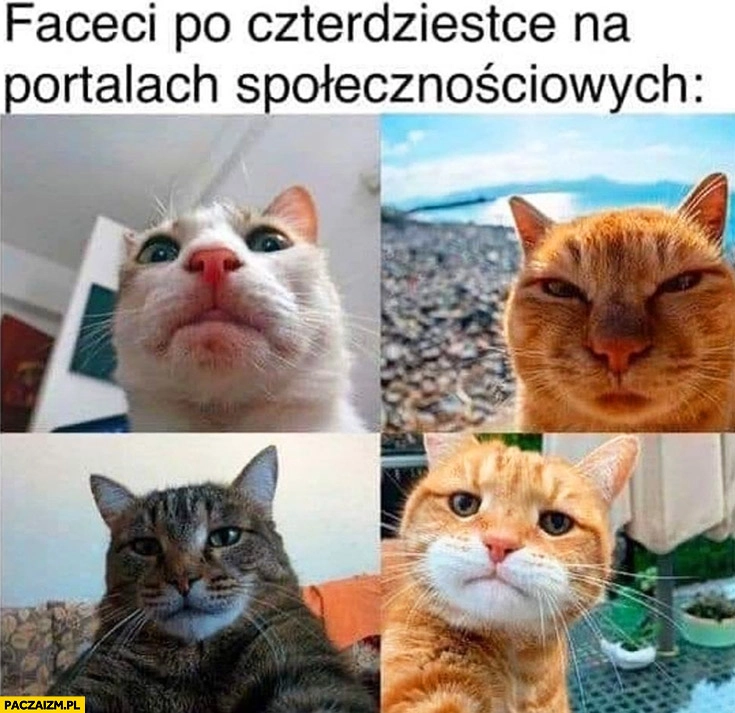 
    Faceci po czterdziestce na portalach społecznościowych koty selfie