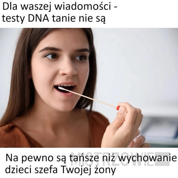 
    Testy