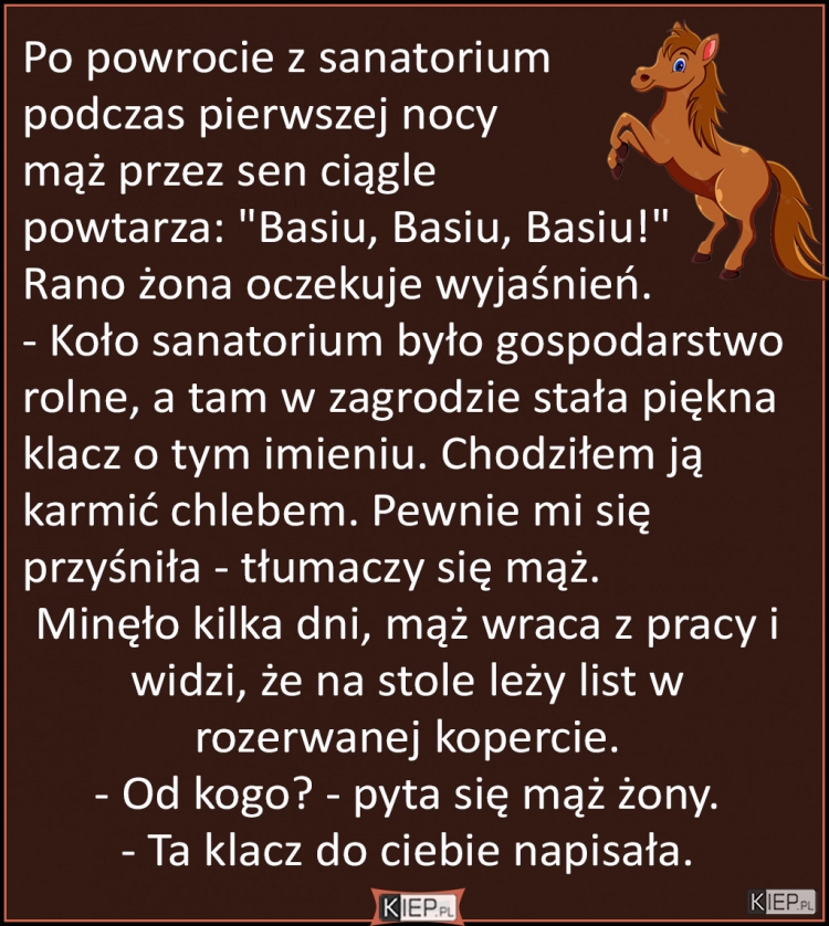 
    Koń Basia