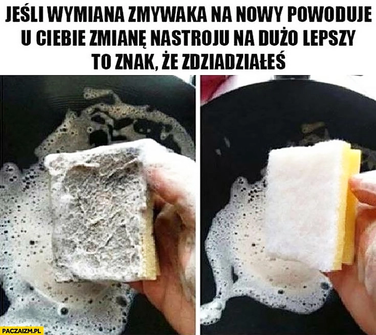 
    Jeśli wymiana gąbki na nową powoduje u Ciebie zmianę nastroju na lepszy to znak, że zdziadziałeś