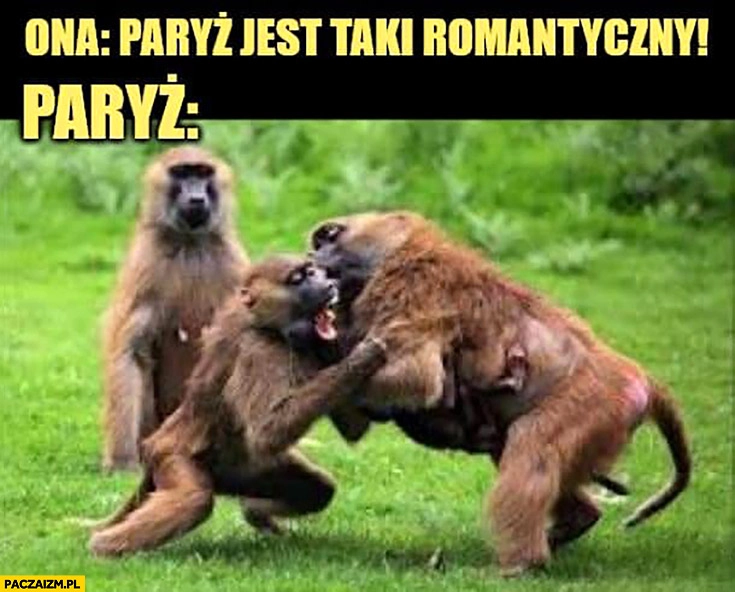 
    Ona: Paryż jest taki romantyczny vs Paryż małpy się biją