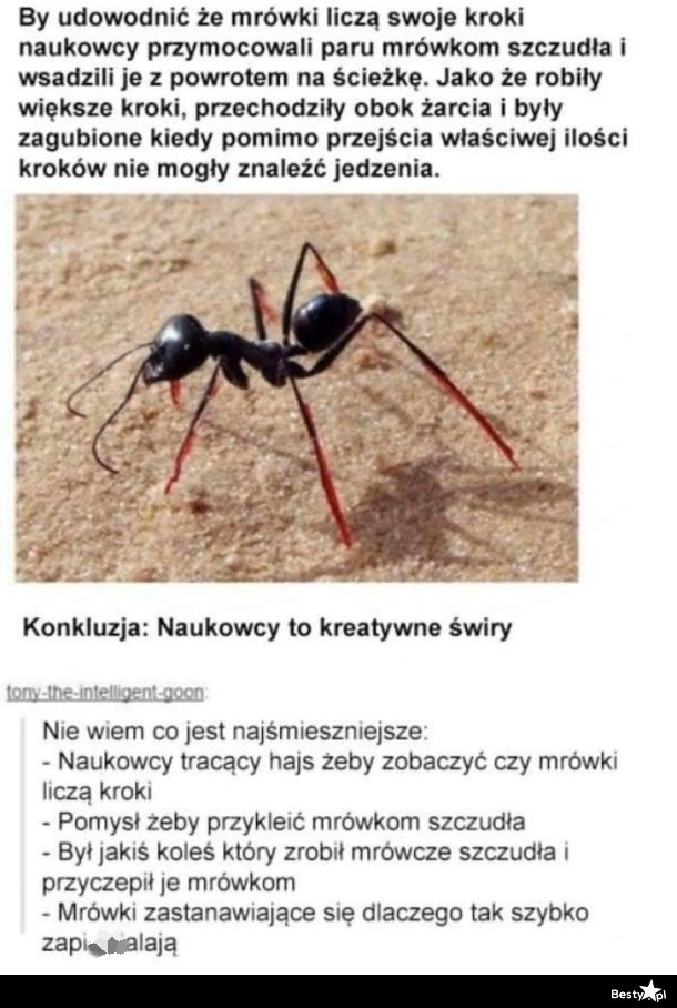 
    Badania naukowe 