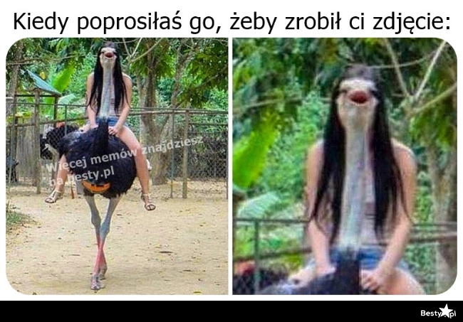 
    Postarał się 