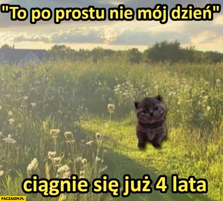 
    To po prostu nie mój dzień ciągnie się już 4 lata kot kotek
