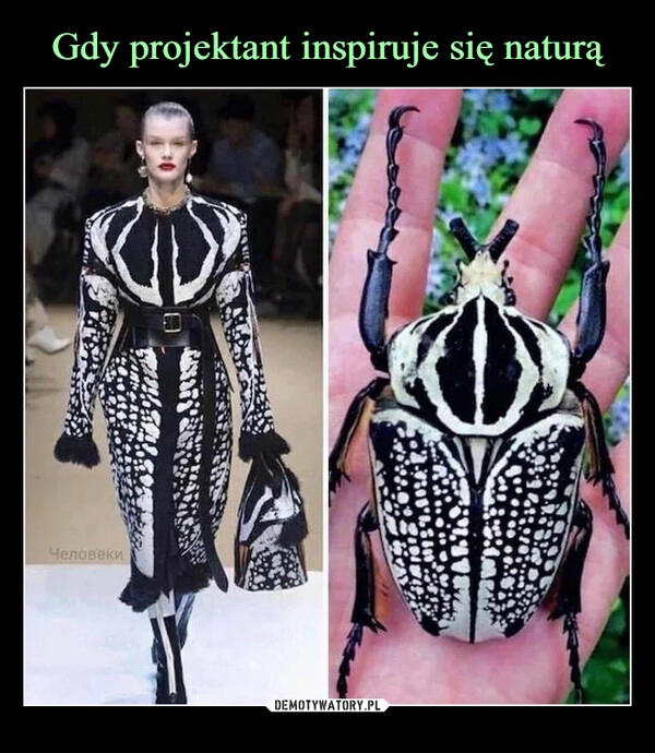 
    Gdy projektant inspiruje się naturą