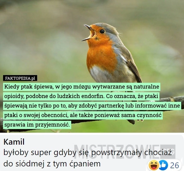 
    Ptaki