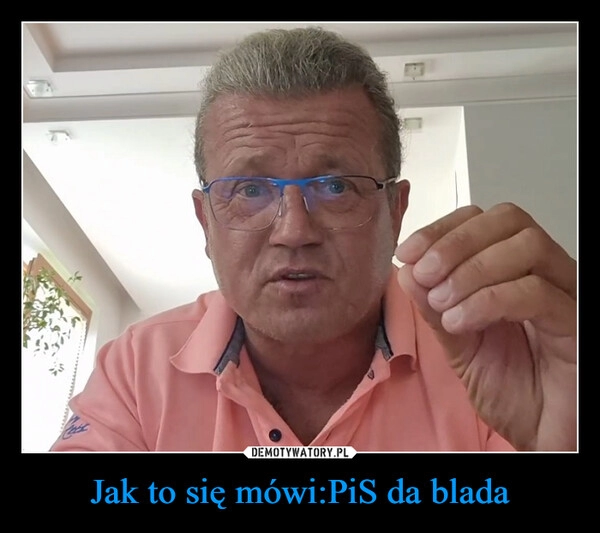 
    Jak to się mówi:PiS da blada