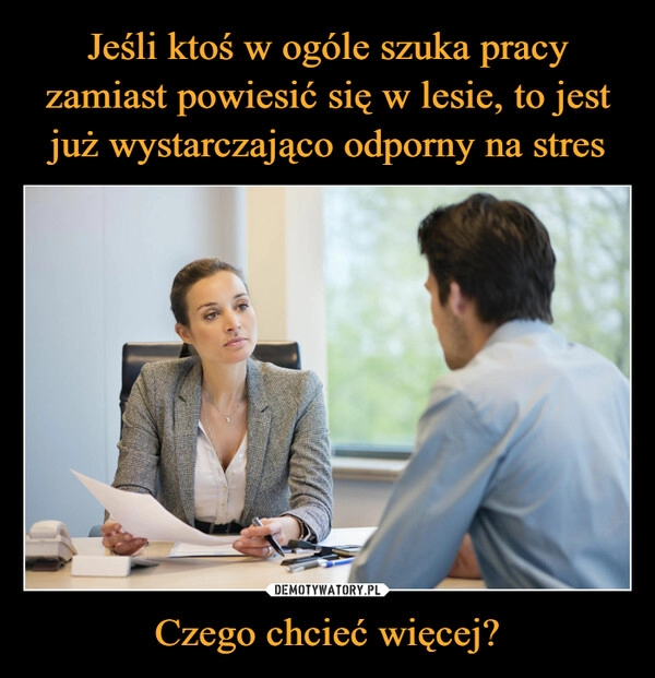 
    Jeśli ktoś w ogóle szuka pracy zamiast powiesić się w lesie, to jest już wystarczająco odporny na stres Czego chcieć więcej?