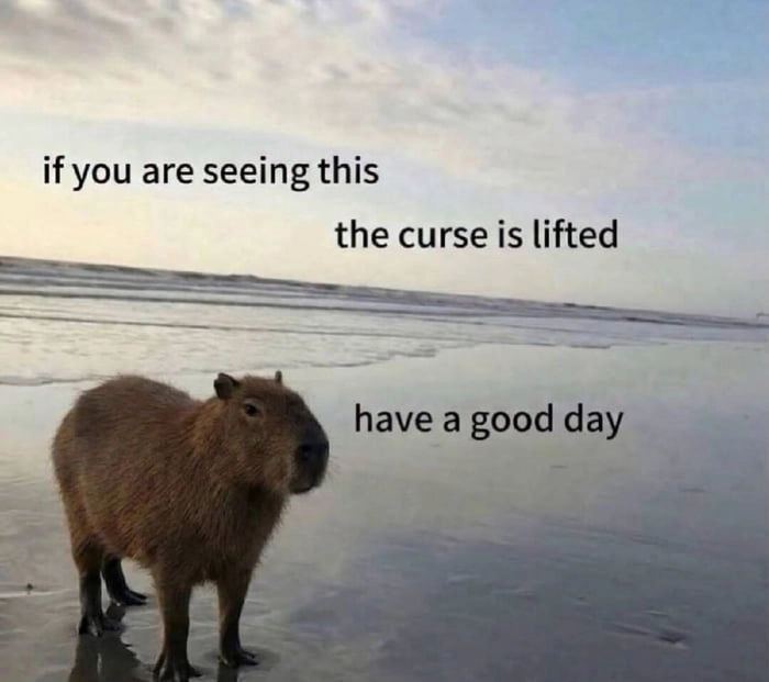 
    Blessed by the beach rodent