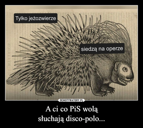 
    A ci co PiS wolą
słuchają disco-polo...