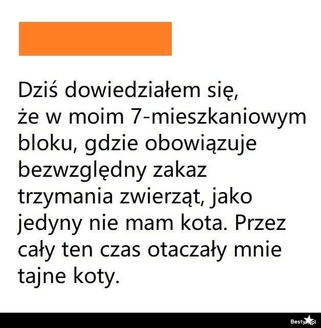 
    Blok bez zwierząt 