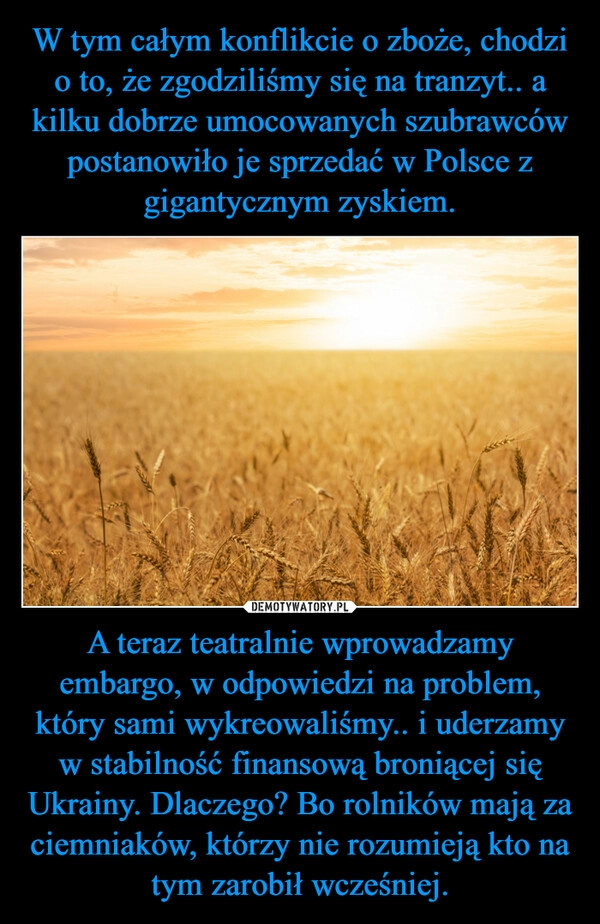 
    W tym całym konflikcie o zboże, chodzi o to, że zgodziliśmy się na tranzyt.. a kilku dobrze umocowanych szubrawców postanowiło je sprzedać w Polsce z gigantycznym zyskiem. A teraz teatralnie wprowadzamy embargo, w odpowiedzi na problem, który sami wykreowaliśmy.. i uderzamy w stabilność finansową broniącej się Ukrainy. Dlaczego? Bo rolników mają za ciemniaków, którzy nie rozumieją kto na tym zarobił wcześniej.