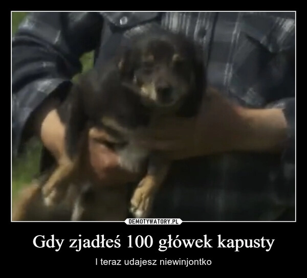 
    Gdy zjadłeś 100 główek kapusty