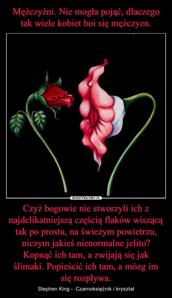 
    Mężczyźni. Nie mogła pojąć, dlaczego tak wiele kobiet boi się mężczyzn. Czyż bogowie nie stworzyli ich z najdelikatniejszą częścią flaków wiszącą tak po prostu, na świeżym powietrzu, niczym jakieś nienormalne jelito? Kopnąć ich tam, a zwijają się jak ślimaki. Popieścić ich tam, a mózg im się rozpływa.