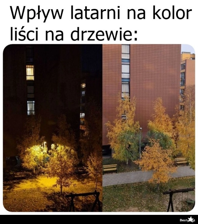 
    Wpływ latarni 