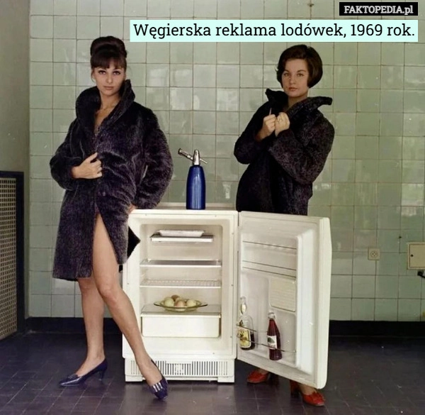 
    Węgierska reklama lodówek, 1969 rok.